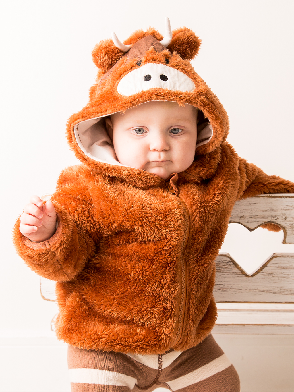 Neutral Hamish Highland Cow Hoodie: 6-12 Months