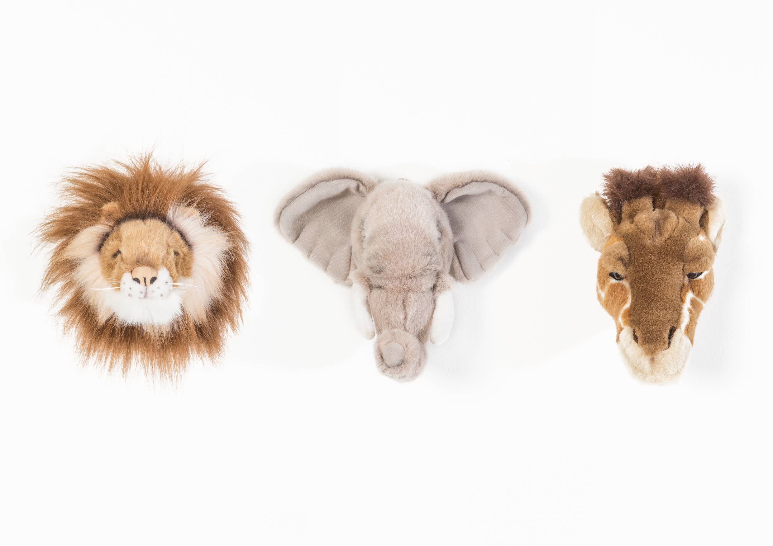 Decorative Mini Heads: Safari Box