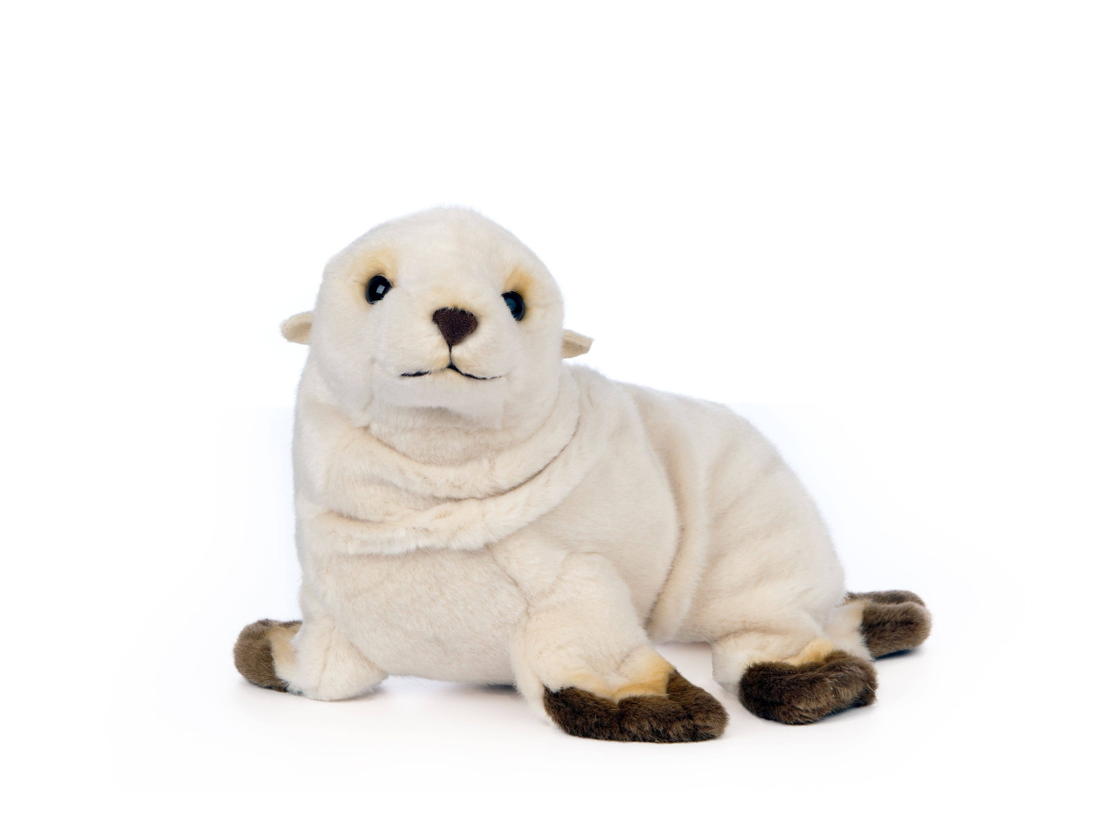 LIVING NATURE Sealion Pup