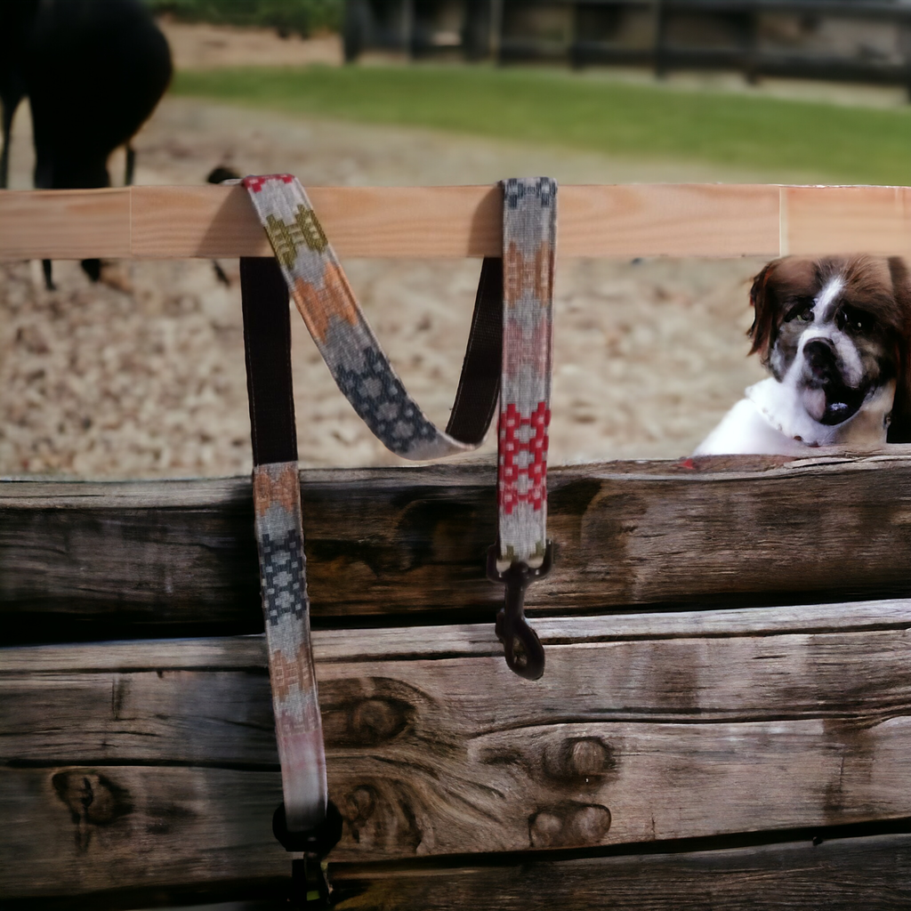 Dog leads / Leash: Green