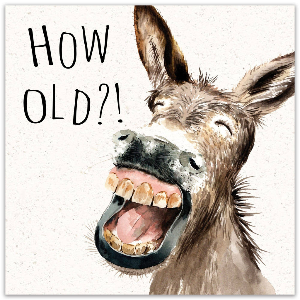 Twizler Ltd - How Old Donkey - Funny Birthday Card