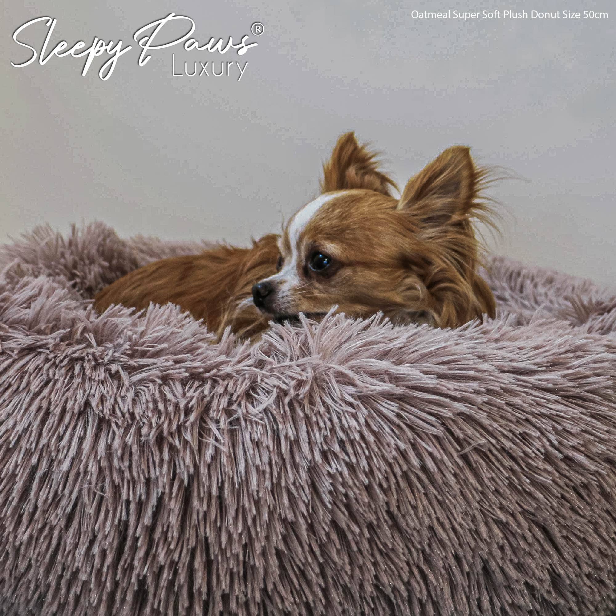 Super Soft Plush Donut Dog Bed Oatmeal: 50 x 50cm