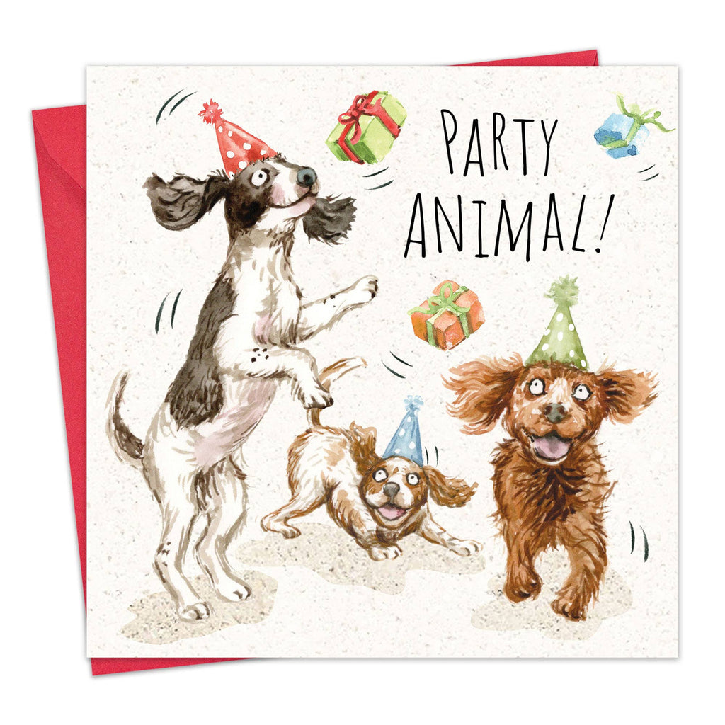 Twizler Ltd - Funny Birthday Card - Party Spaniels