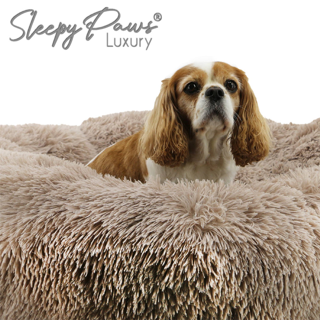 Super Soft Plush Donut Dog Bed Oatmeal: 50 x 50cm