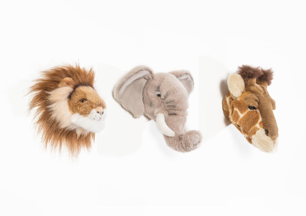Decorative Mini Heads: Safari Box