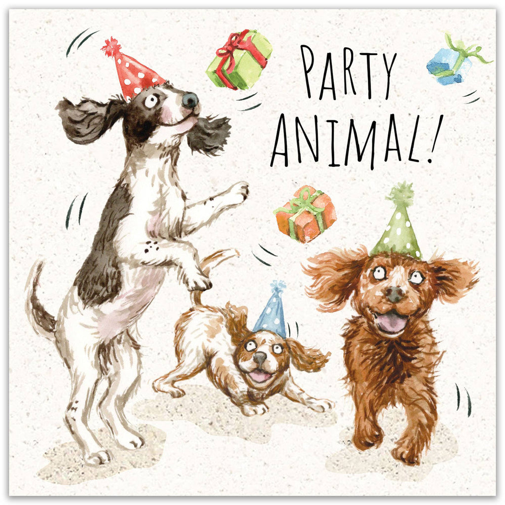 Twizler Ltd - Funny Birthday Card - Party Spaniels