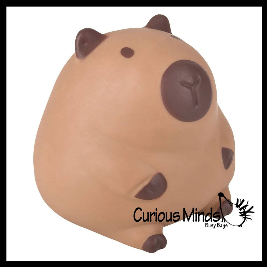 Jumbo 5.75" Capybara Doh Filled Squishy Squeeze Stress Ball