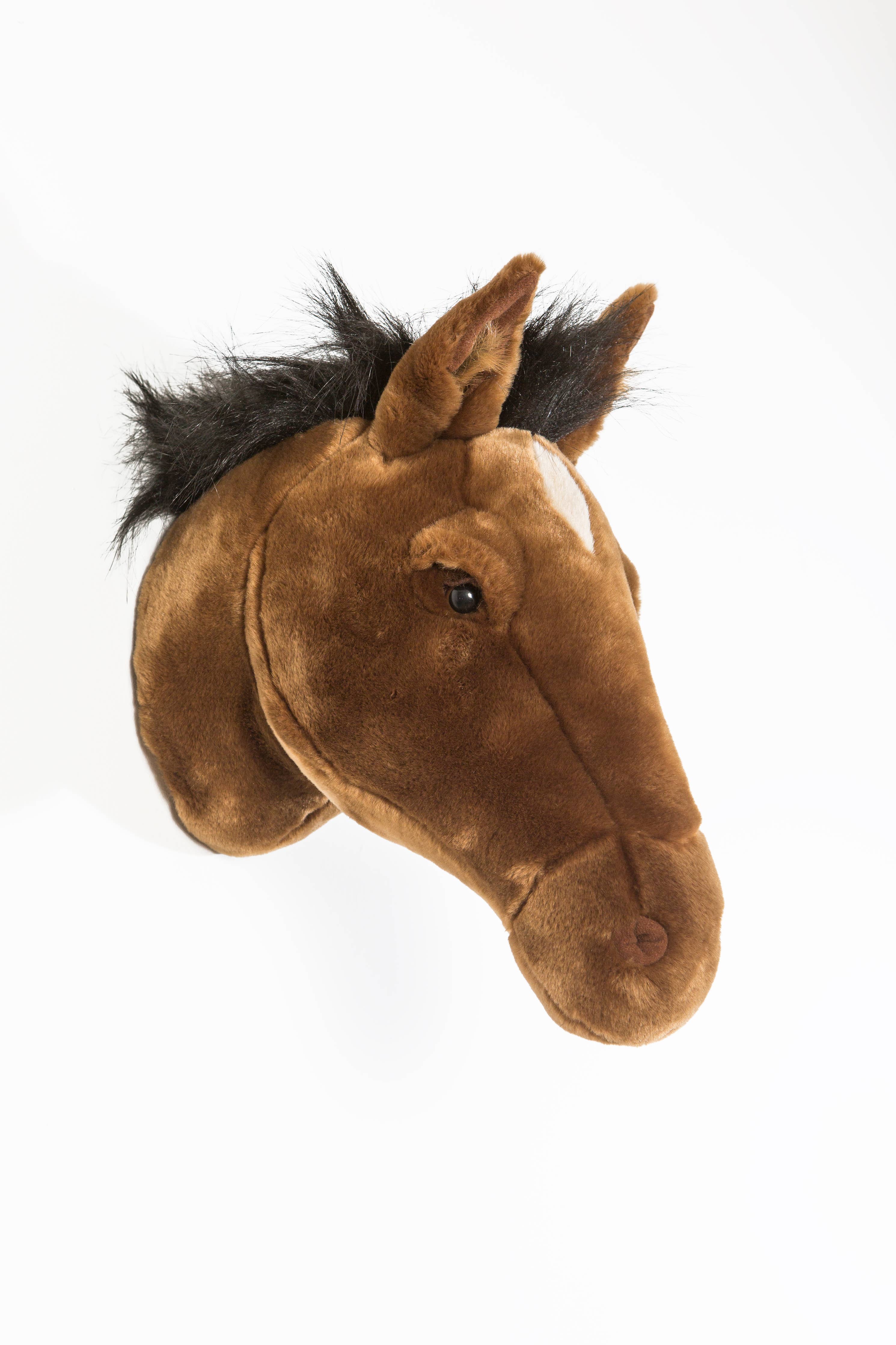 Scarlett the Brown Horse