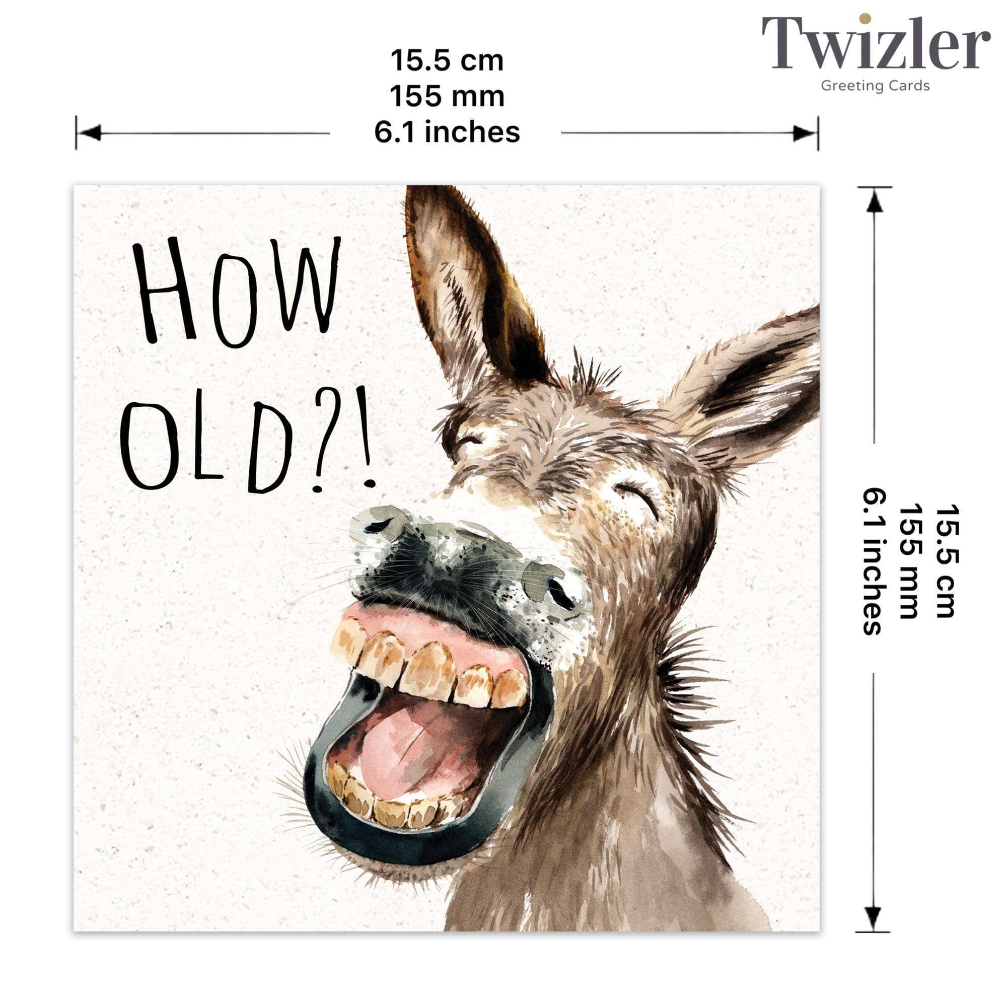 Twizler Ltd - How Old Donkey - Funny Birthday Card