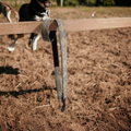 Dog leads / Leash: Green
