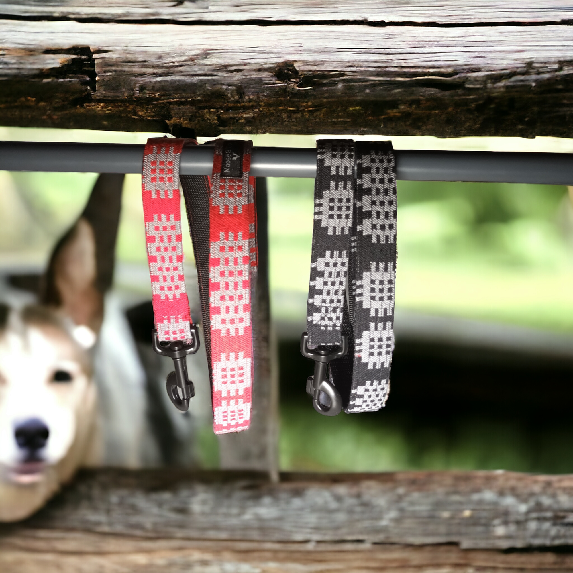 Dog leads / Leash: Green