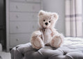 Jelly Bean Handmade Plush Teddy Bear Collectable