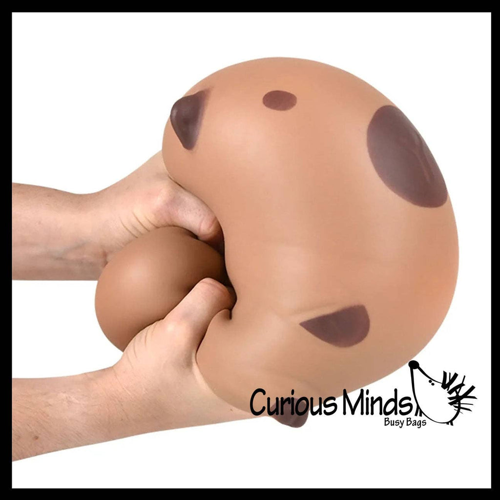 Jumbo 5.75" Capybara Doh Filled Squishy Squeeze Stress Ball