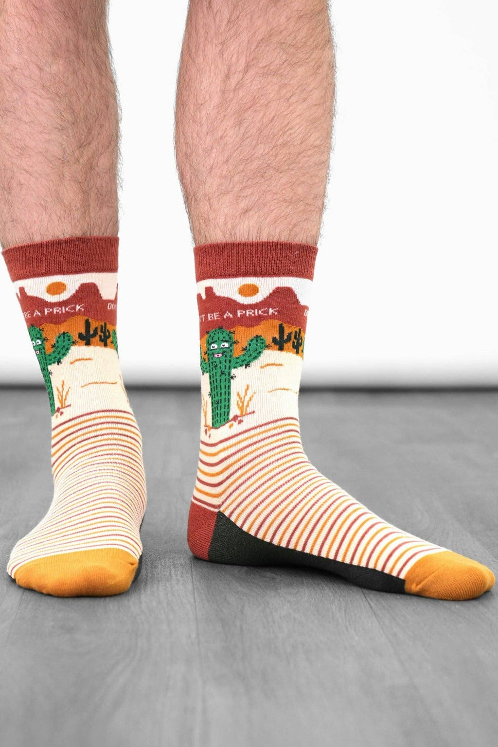 Sock Talk - Men's Combed Cotton Crew Socks- Cream, Prickly Cactus: UK 7-11 | EU 40.5-46 | US 8-12