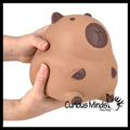 Jumbo 5.75" Capybara Doh Filled Squishy Squeeze Stress Ball