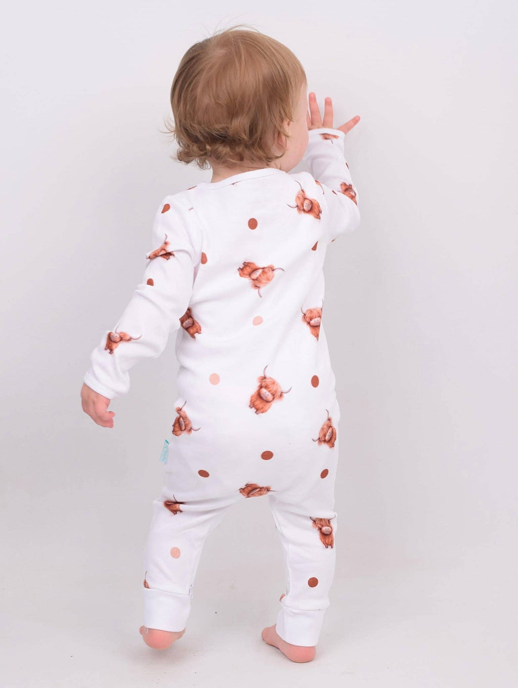 Highland Cow Sleepsuit: 0-3M
