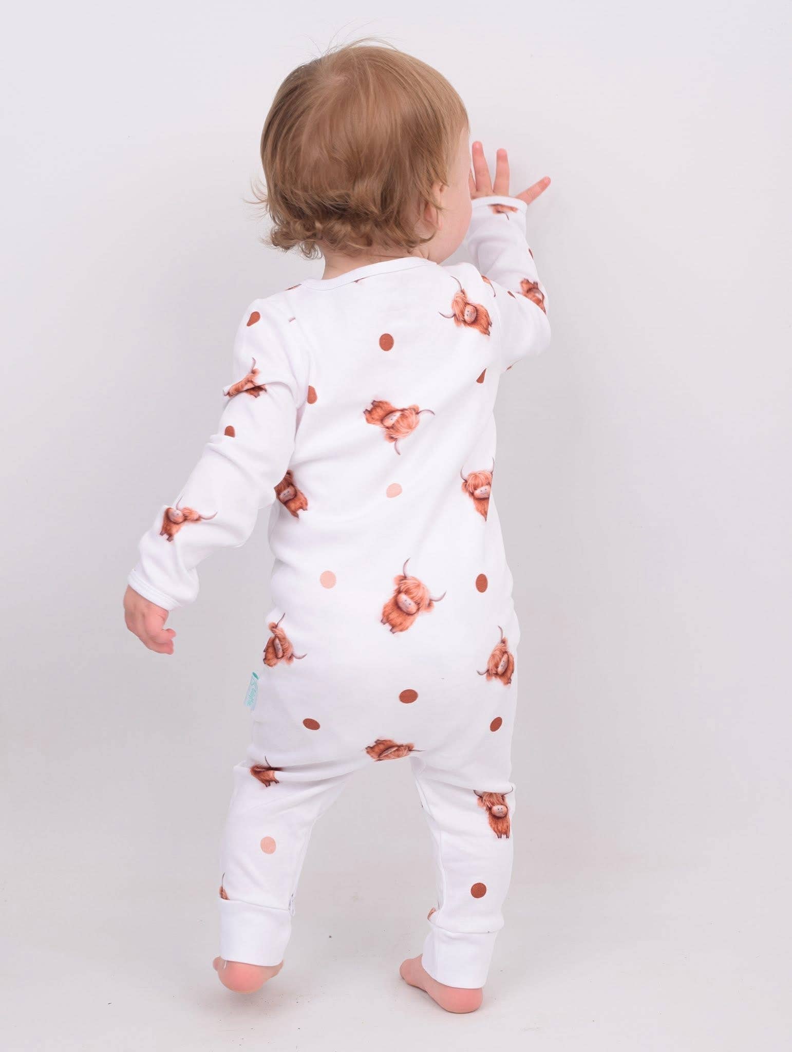Highland Cow Sleepsuit: 12-18M