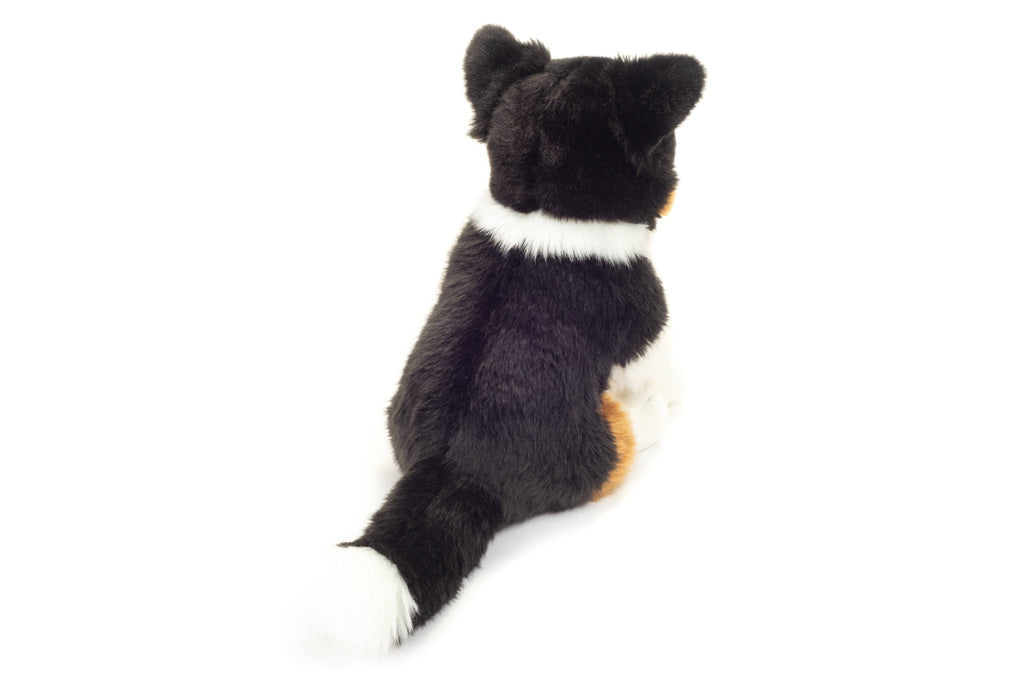 Tricolor Border Collie sitting 30cm - plush toy - soft toy