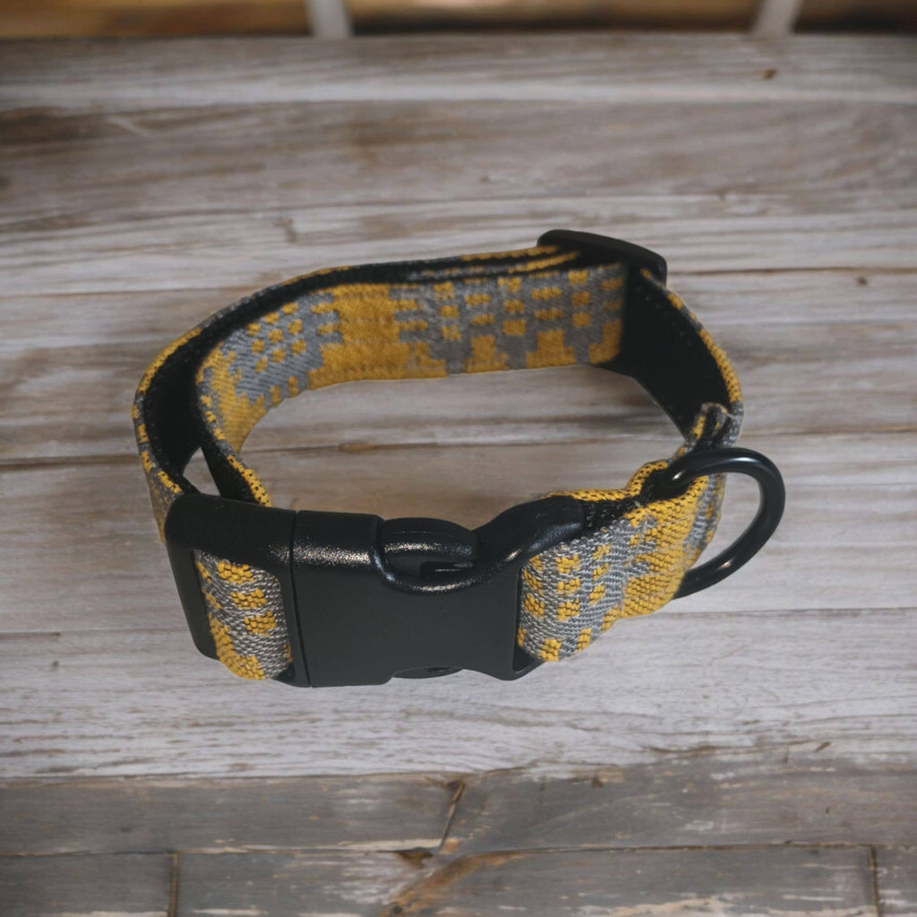 Dog Collars: Medium / Rainbow Denim