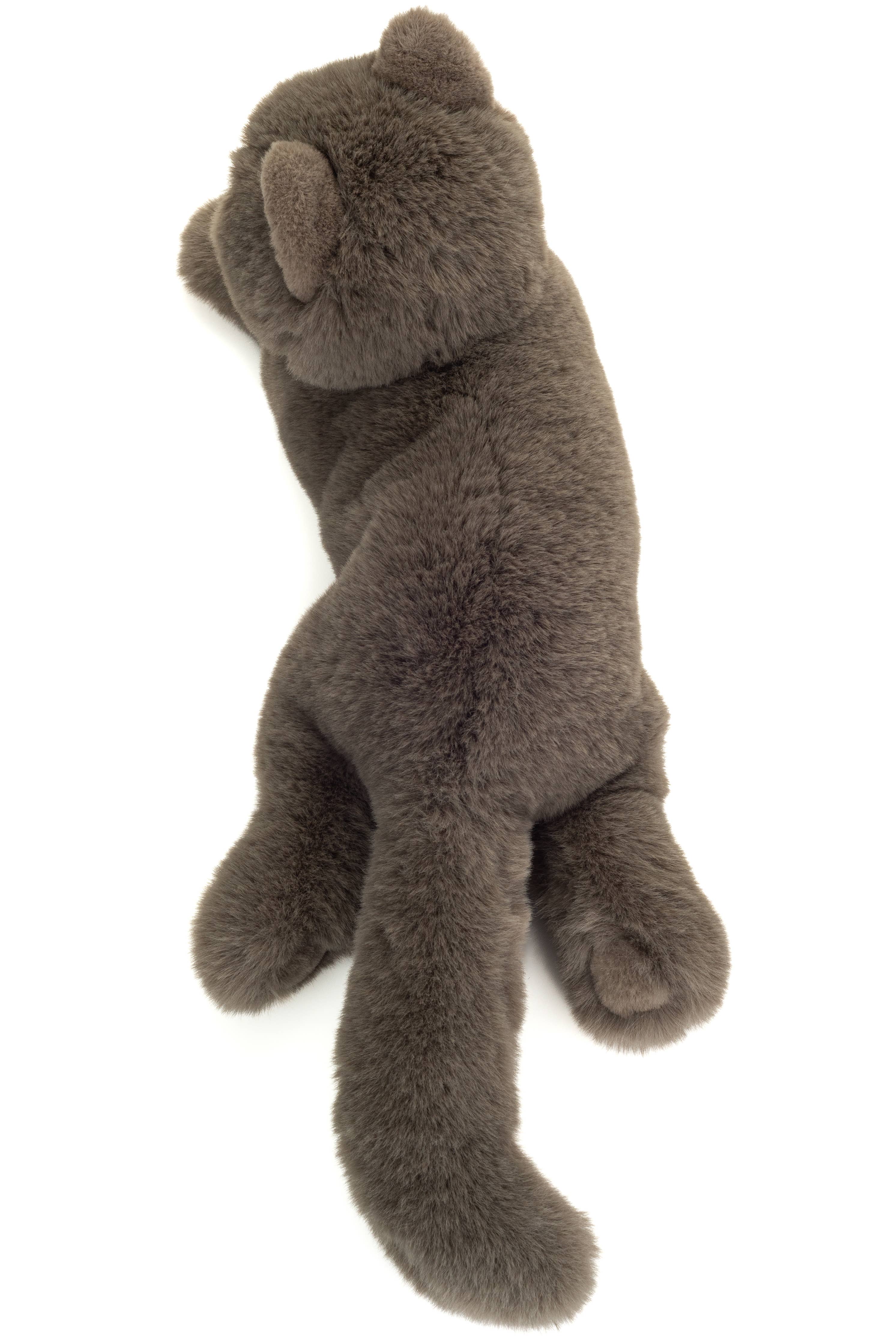 Chartreux Cat Lying 36 cm - Plush Toy - Stuffed Animal