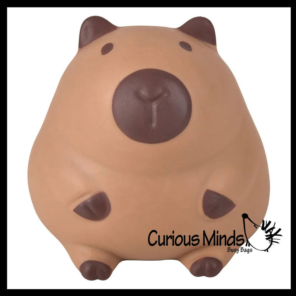 Jumbo 5.75" Capybara Doh Filled Squishy Squeeze Stress Ball
