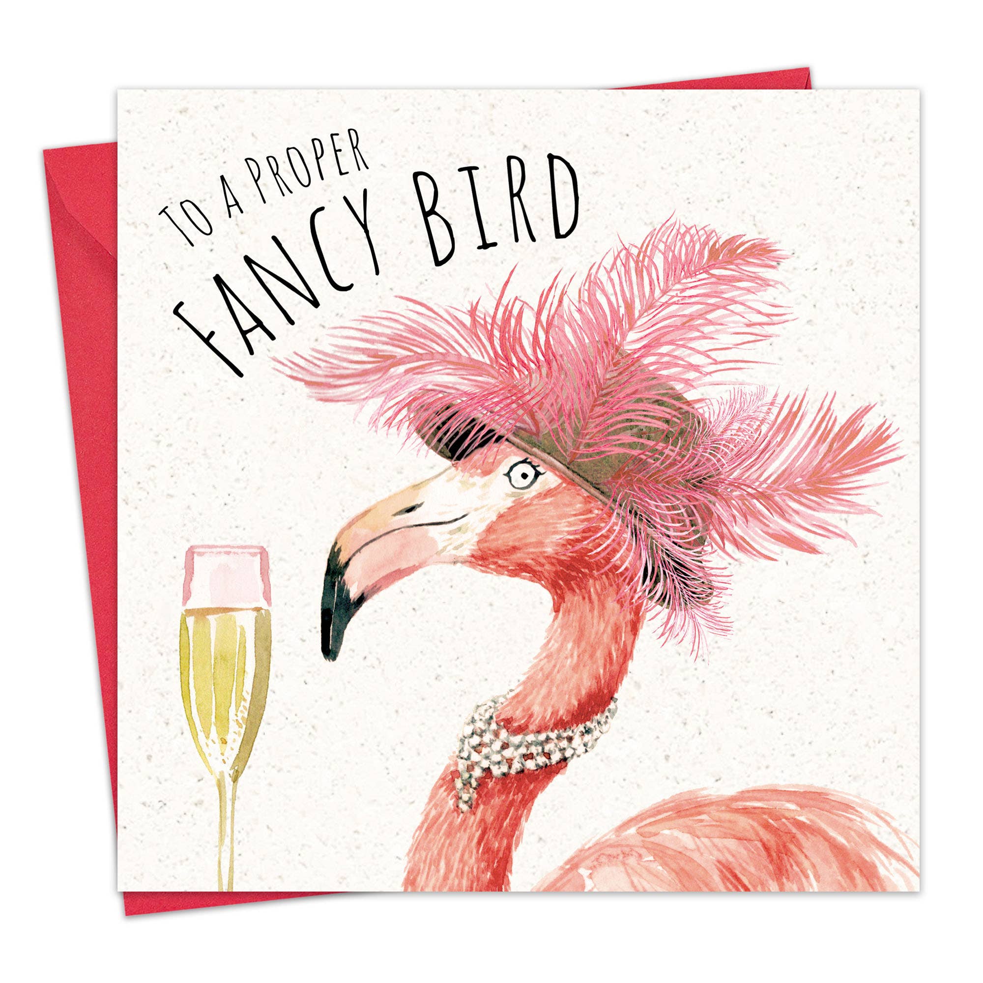 Twizler Ltd - Fancy Bird - Funny Birthday Card