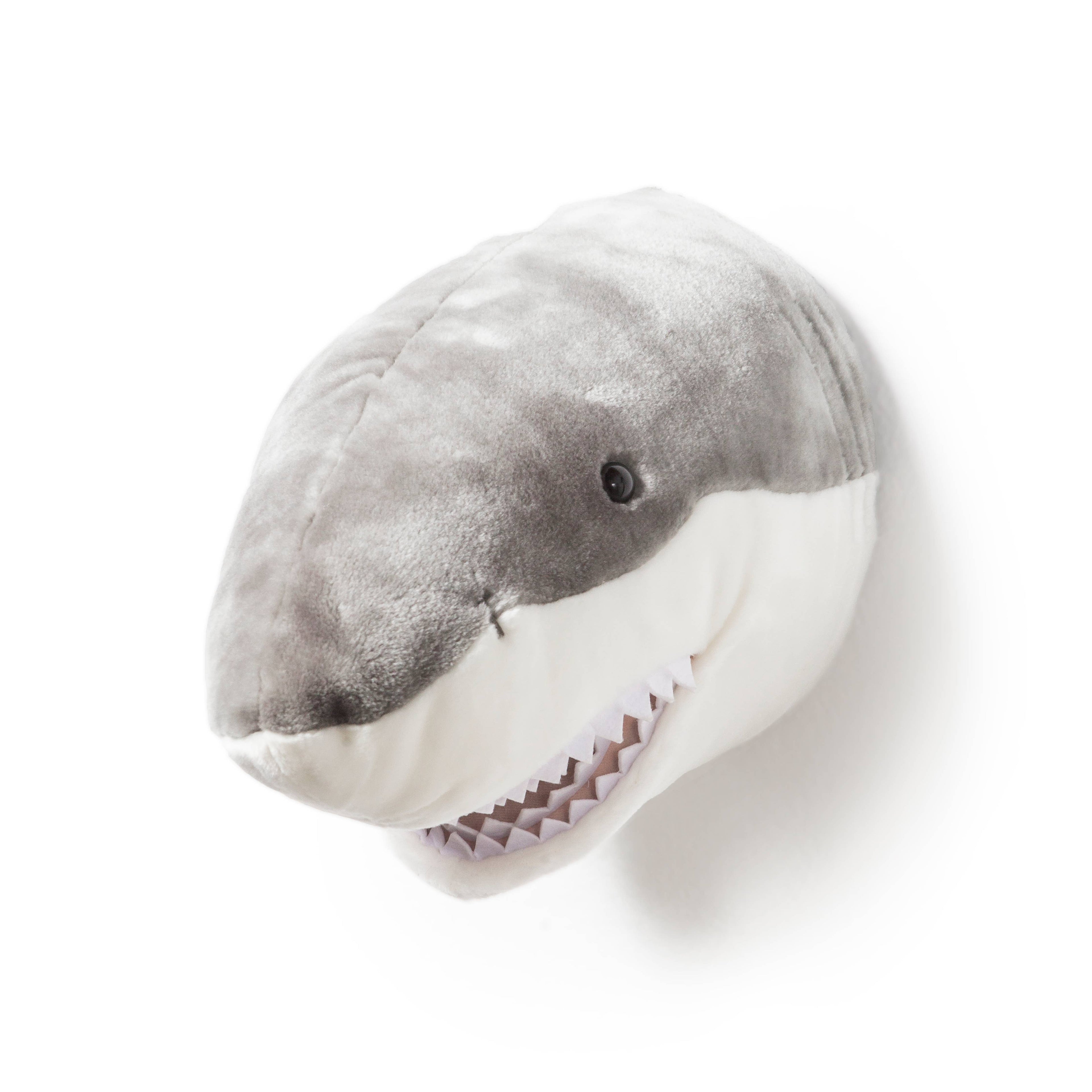 Jack the Shark: Wall deco