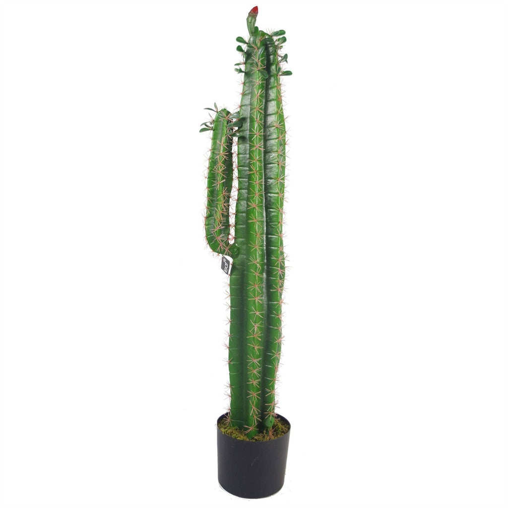 Leaf Design UK LTD - Artificial Cactus Cacti Plant Black Pot 110cm Plants
