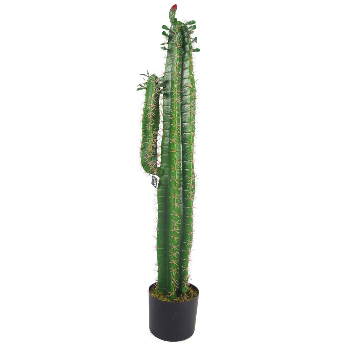 Leaf Design UK LTD - Artificial Cactus Cacti Plant Black Pot 110cm Plants