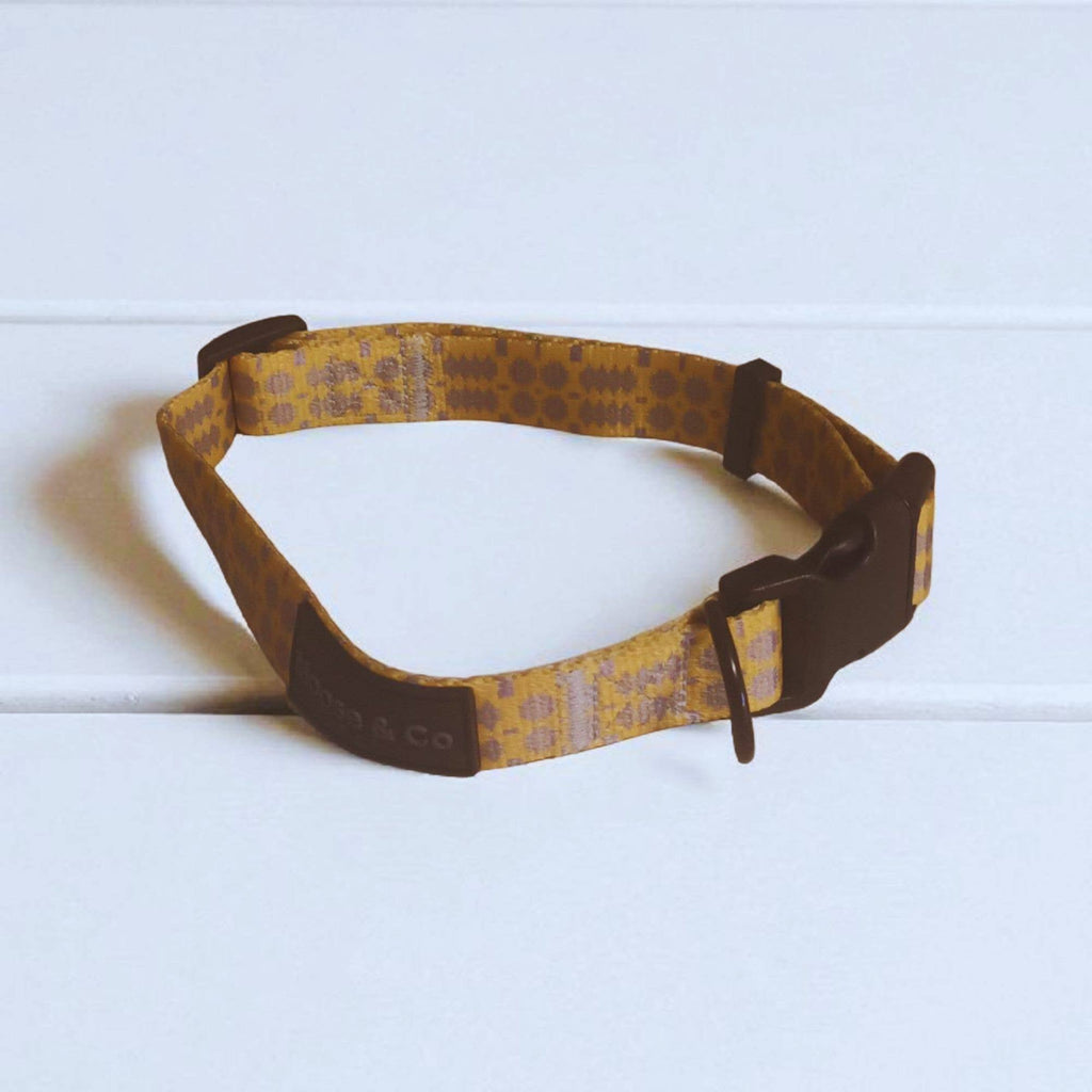 Mustard coloured Dog Collars   : Extra Small