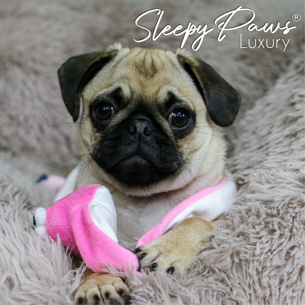 Super Soft Plush Donut Dog Bed Oatmeal: 100 x 100cm