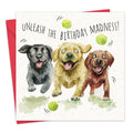 Twizler Ltd - Birthday Madness Dogs - Funny Birthday Card