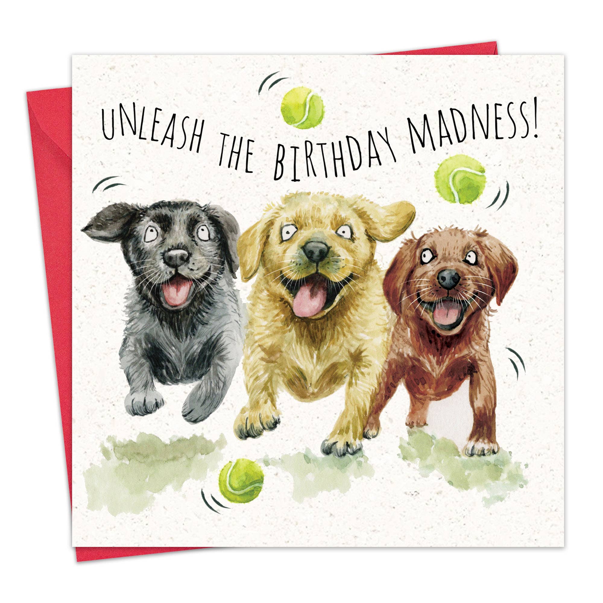 Twizler Ltd - Birthday Madness Dogs - Funny Birthday Card