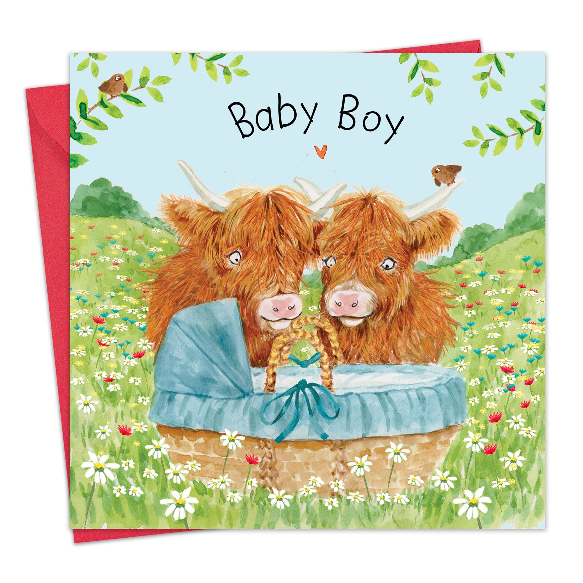 Twizler Ltd - New Baby Boy Card - Highland Cow