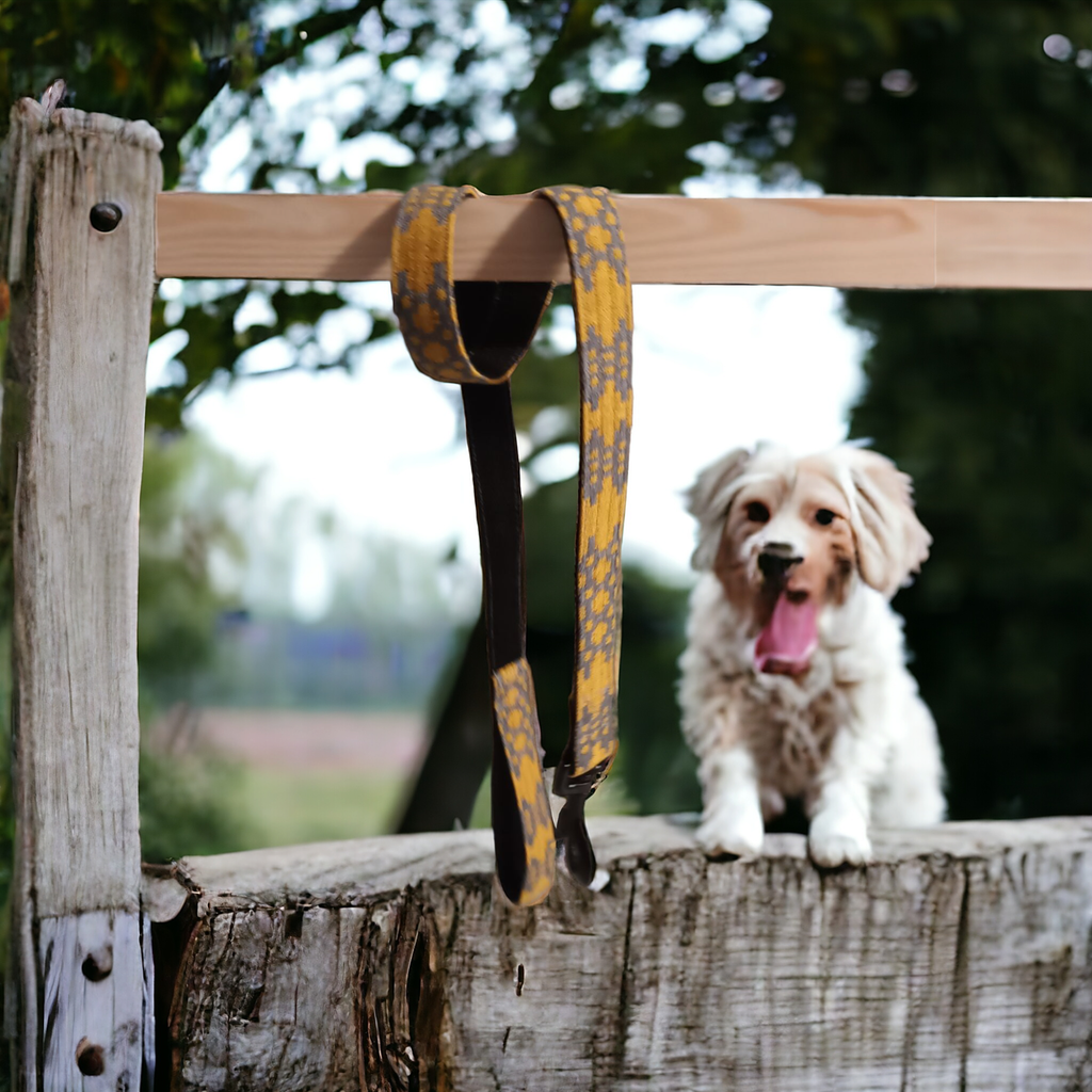 Dog leads / Leash: Green