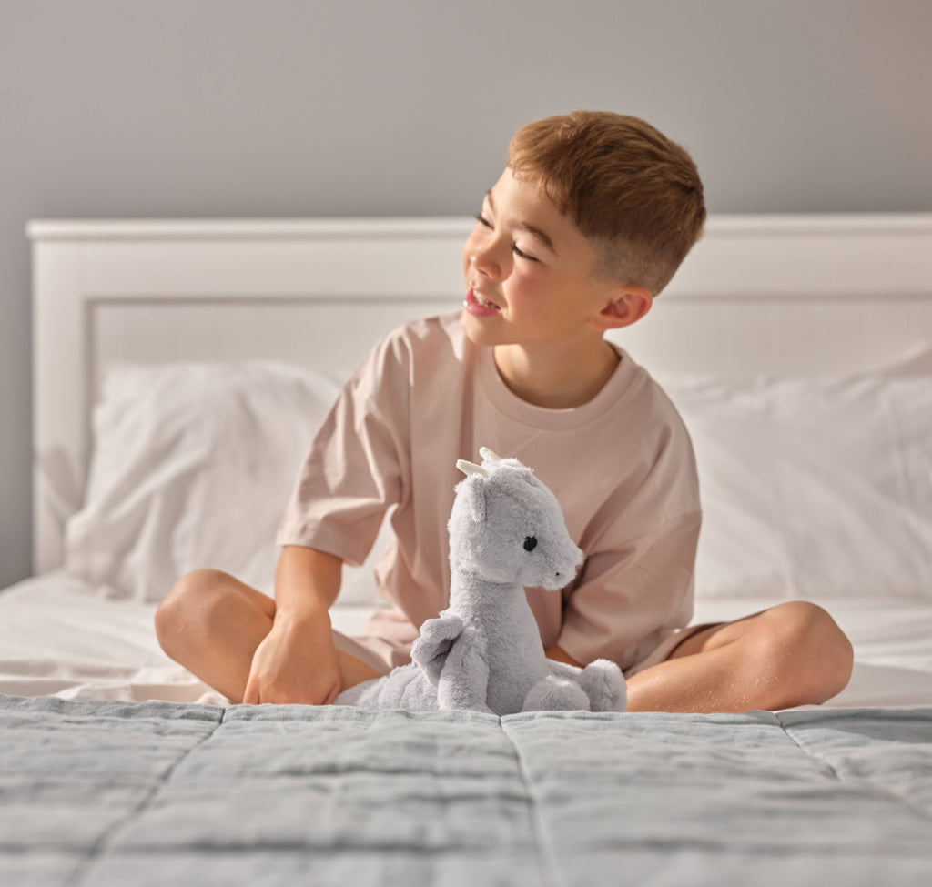 Draco Dragon Cloudy Grey Soft Plush Toy Teddy Bear