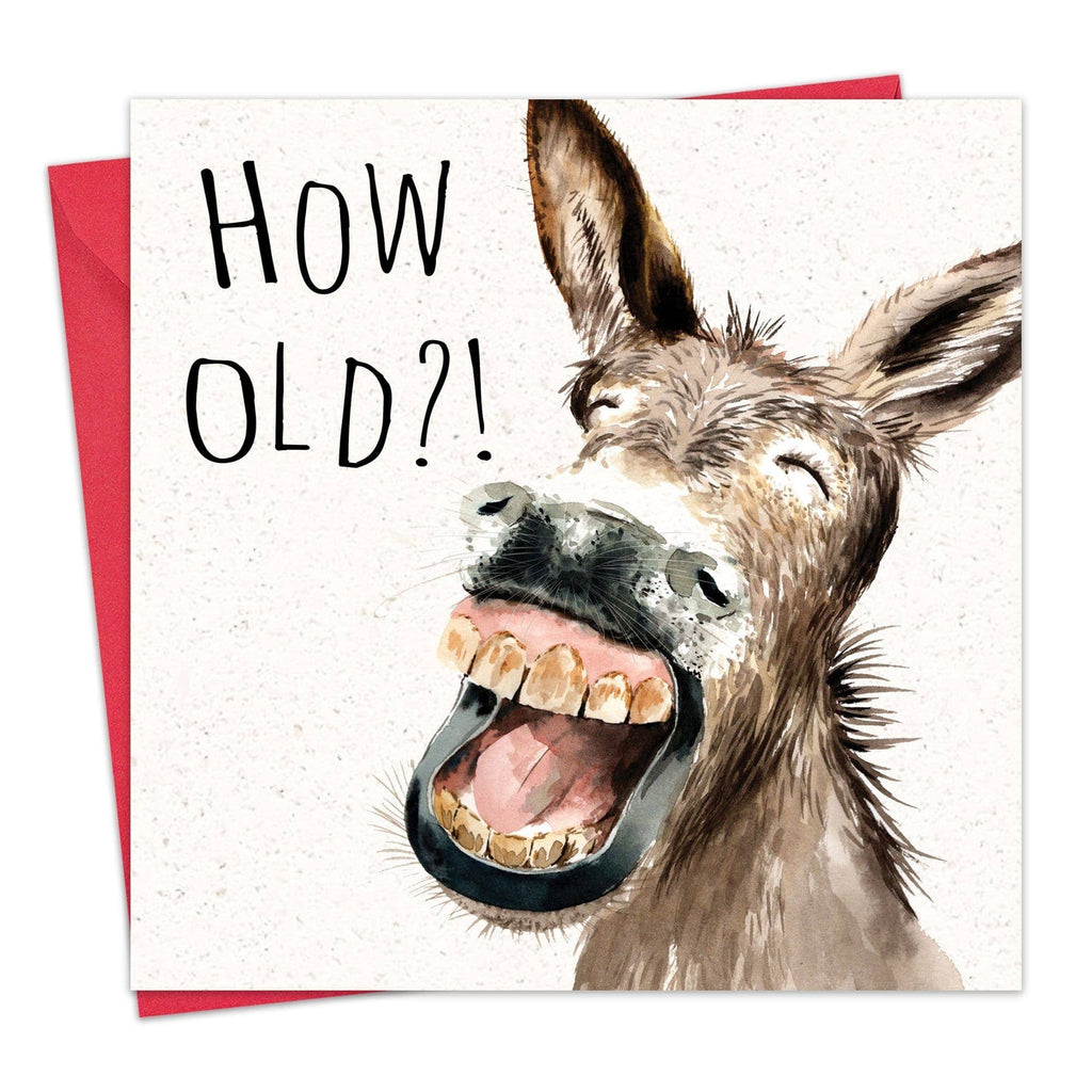 Twizler Ltd - How Old Donkey - Funny Birthday Card