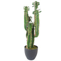 Leaf Design UK LTD - Artificial Cactus Cacti Plant Black Pot 65cm Plants