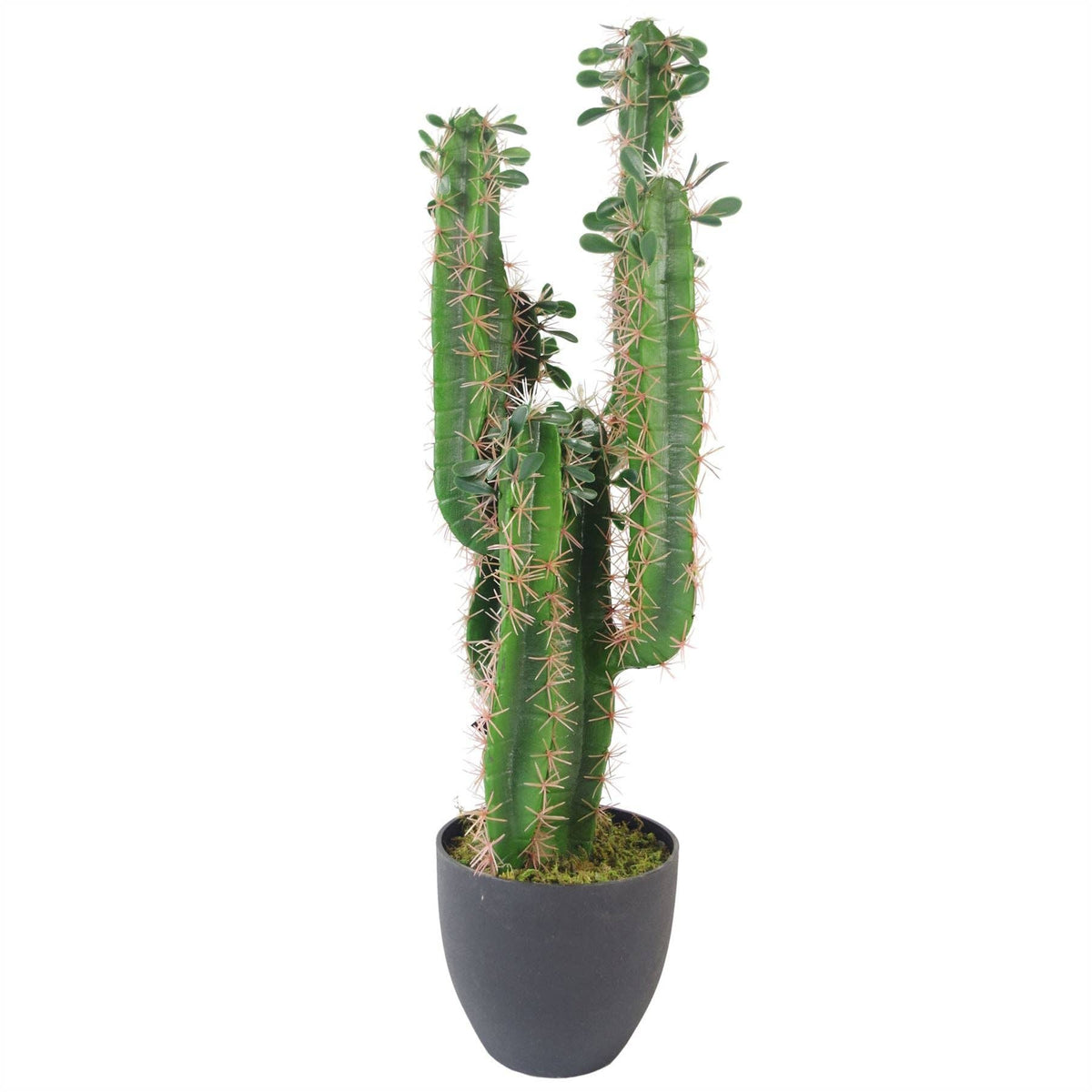 Leaf Design UK LTD - Artificial Cactus Cacti Plant Black Pot 65cm Plants