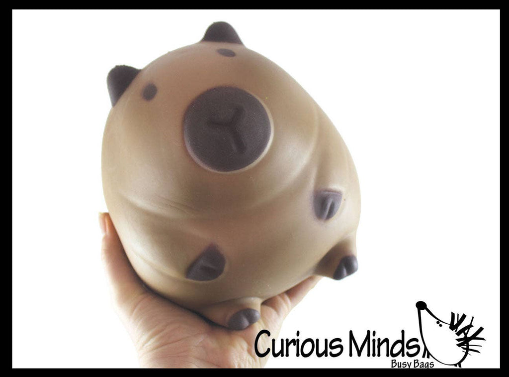 Jumbo 5.75" Capybara Doh Filled Squishy Squeeze Stress Ball