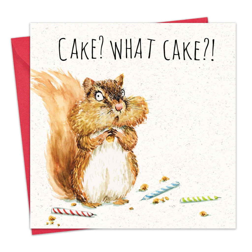 Twizler Ltd - What Cake - Funny Birthday Card