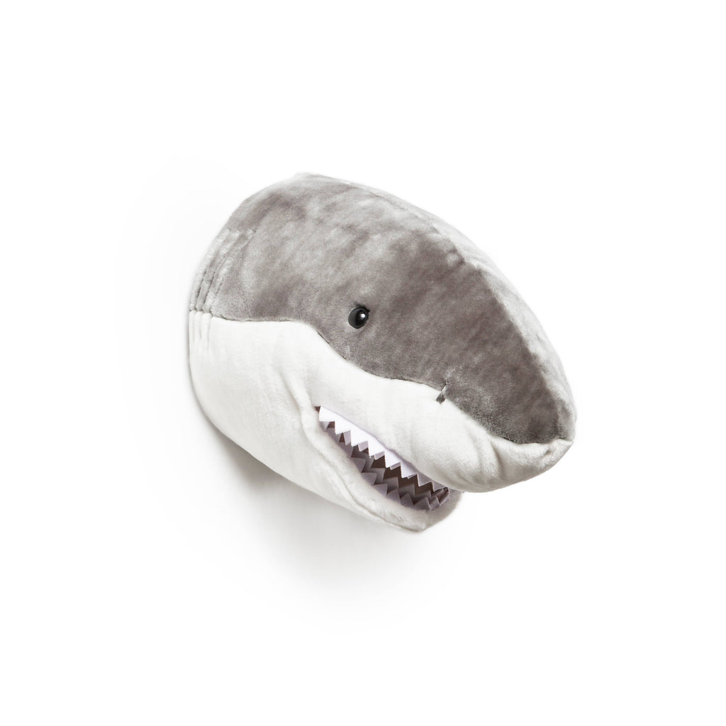 Jack the Shark: Wall deco