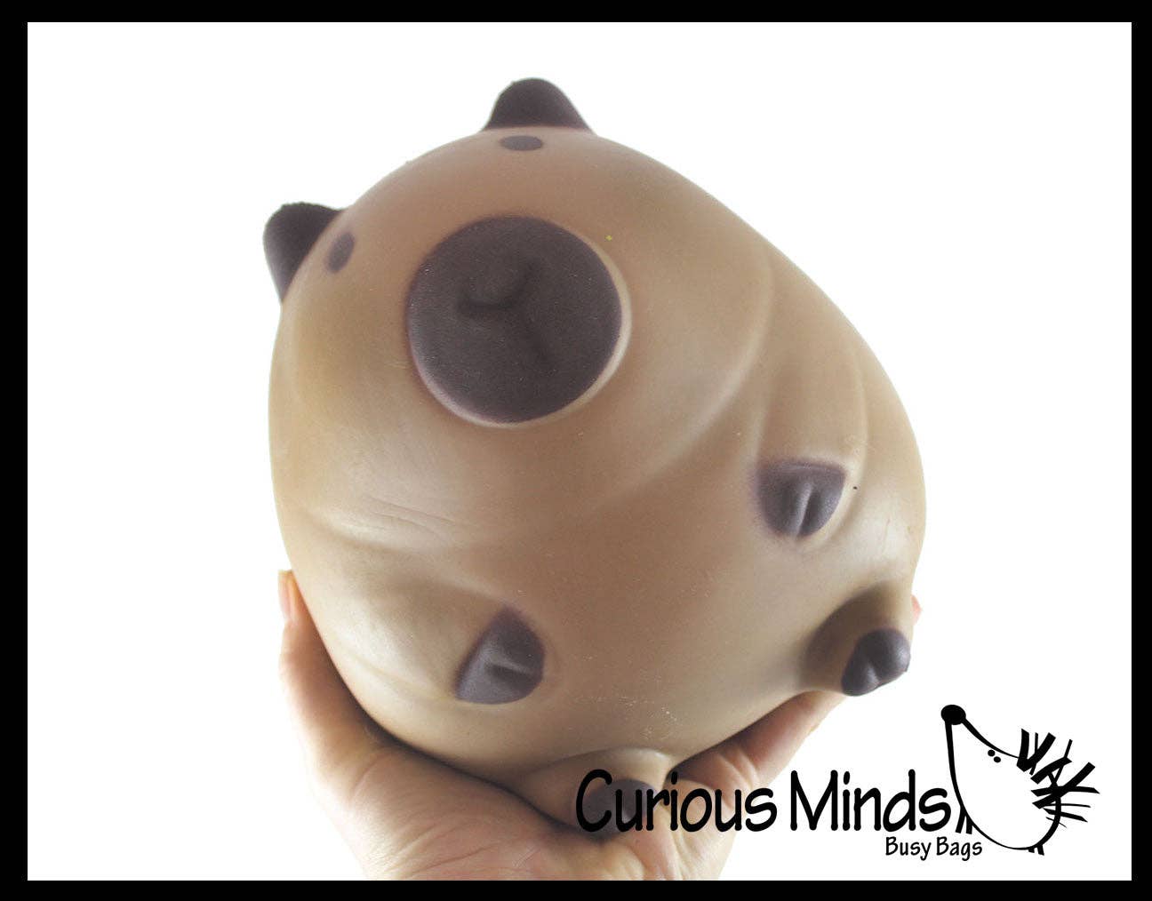 Jumbo 5.75" Capybara Doh Filled Squishy Squeeze Stress Ball