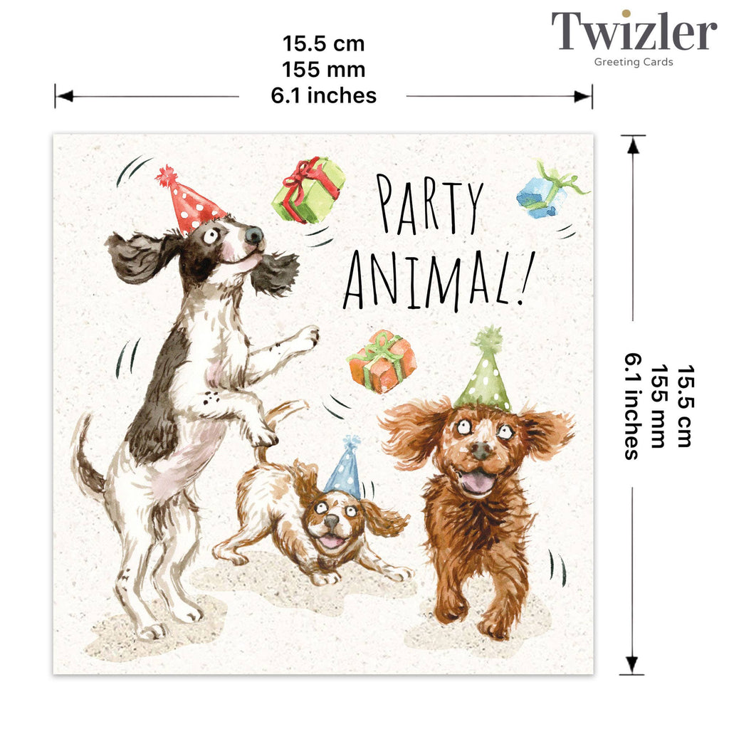 Twizler Ltd - Funny Birthday Card - Party Spaniels