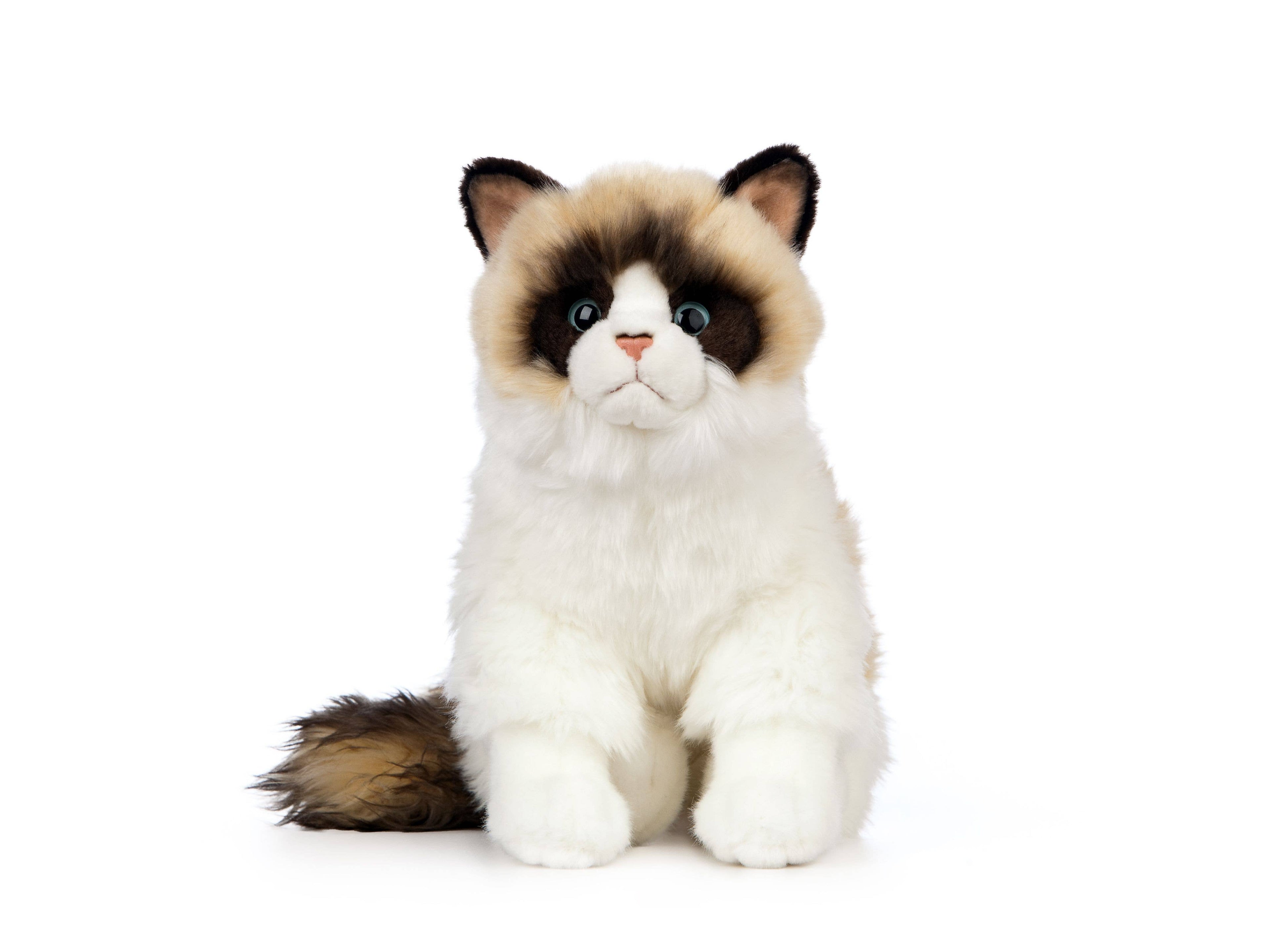 LIVING NATURE Ragdoll Cat