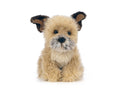 LIVING NATURE Border Terrier